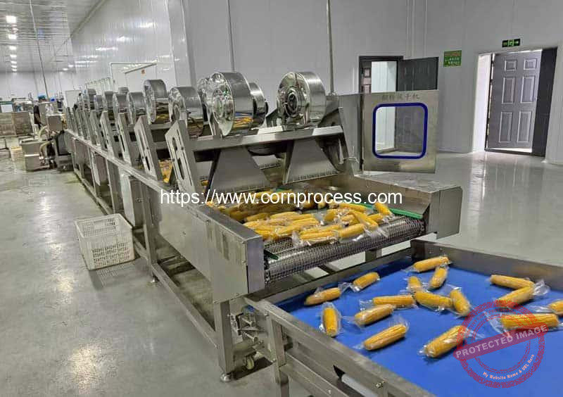 Turnover-Type-Vacuum-Packed-Sweet-Corn-Air-Blow-Surface-Water-Removing-Dryer-Machine